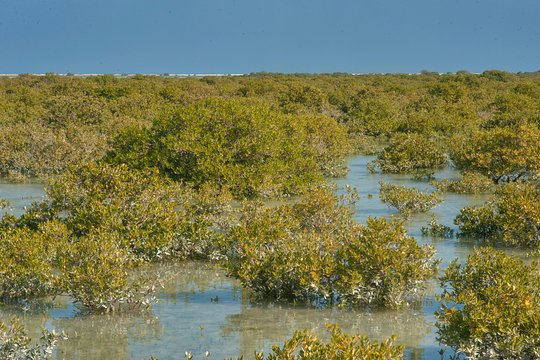 Tour image 3