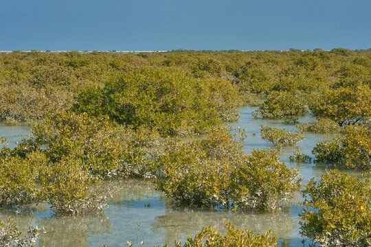 Tour image 5