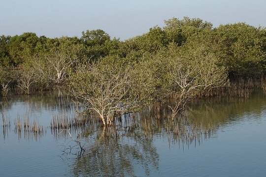 Tour image 9