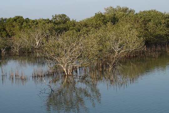 Tour image 12