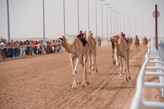 Tour image 2