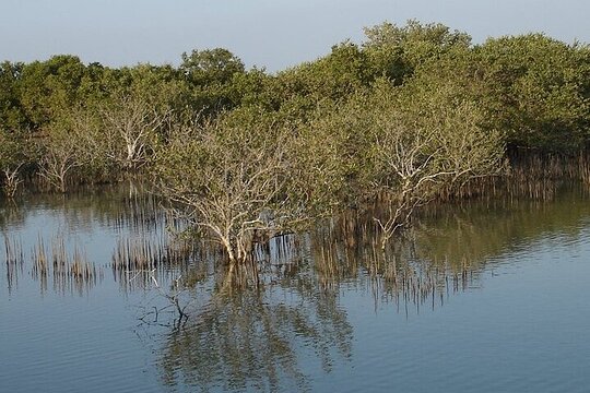 Tour image 14